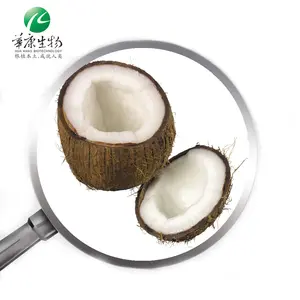 Factory supply Coconut powder, organic coconut milk powder, organic instant coconut milk powder