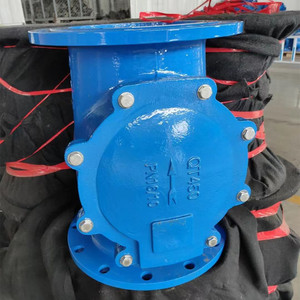 Vanne de retenue à bille en fonte ductile durable sur mesure OEM pour l'alimentation en <span class=keywords><strong>eau</strong></span> et les conduites industrielles - Product Image 2