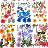 E2933 Vente en gros de mini-sacs de matériaux de fleurs séchées pour DIY, maquillage, nail art, décoration de cadre de téléphone, fleurs naturelles séchées et pressées pour la résine