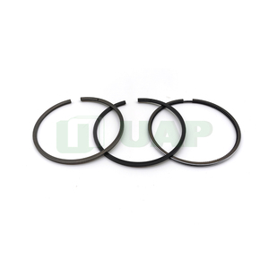 Anillo de Pistón para Motor Diésel DT360 1817251C91 para Camión - Product Image 2
