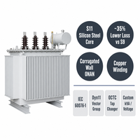 Transformateur de puissance immergé dans l'huile Wanbo-491 S11 à faible perte, avec noyau en acier silicé orienté dans les grains et enroulement en cuivre ONAN, 10kV 35kV