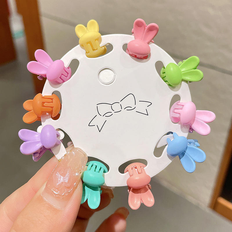 Bright macaron long ear rabbit-bulk