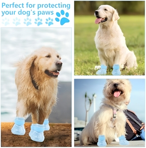 Chaussures imperméables <span class=keywords><strong>pour</strong></span> animaux de compagnie, 4 pièces, avec trous, antidérapantes, <span class=keywords><strong>pour</strong></span> l'été, pantoufles <span class=keywords><strong>pour</strong></span> chiots, sandales de plage <span class=keywords><strong>pour</strong></span> animaux de compagnie - Product Image 2