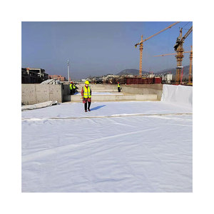 Membrane non tissée en HDPE haute résistance 110g-500g par <span class=keywords><strong>m2</strong></span>, tissu géotextile en polyester 200gsm, <span class=keywords><strong>prix</strong></span> 200g 250g 300g 350g 400g 500g PP - Product Image 4