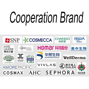 تصنيع المعدات الأصلية تخصيص شجرة الشاي ورقة الأخضر قناع ورقة - Product Image 4