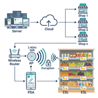 Sistema de Etiquetas de Precio Digitales COMPAX, Kit Completo para Todos los Tamaños, 4 Colores, Eink ESL, BLE 5.0, IP65, para Supermercados, Farmacias, Belleza, Comercio Interior