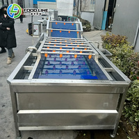 Machine automatique de lavage à bulles pour fruits et légumes avec système de convoyeur