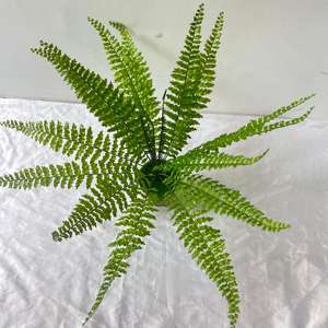 Arbustes artificiels de <span class=keywords><strong>feuillage</strong></span> de fougère de Boston en plastique vert décoration de fête de ferme de bureau de jardin de maison pour l'usage d'intérieur et extérieur - Product Image 4