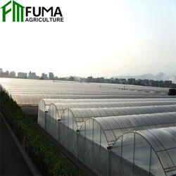 FM Blueberry Grow <span class=keywords><strong>Kit</strong></span> de serre commerciale pour l'agriculture <span class=keywords><strong>en</strong></span> tunnel de haute qualité <span class=keywords><strong>Abri</strong></span> de pluie à travée multiple - Product Image 2