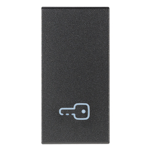 Accessoire de porte avec symbole clé, longueur 4,42 pouces, couleur grise, pour usage de sécurité - Product Image 1