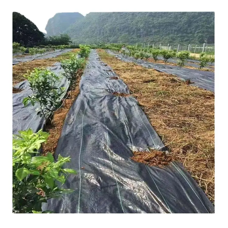 Terreno agricolo che copre tessuto paesaggio con barriera in erba intrecciata PP