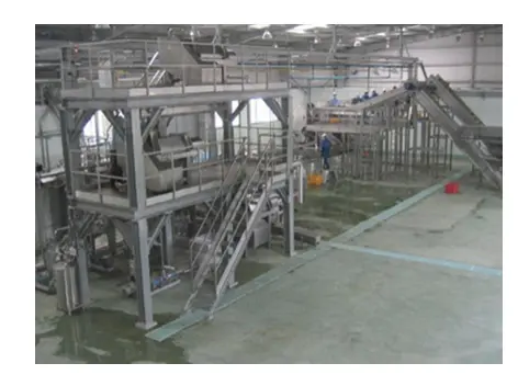 Tomato paste production line from Shanghai