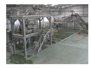 Domates püresi üretim hattı Shanghai