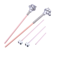 Capteur de température industrielle haute performance 1300°C, thermocouple métallique de type B, R, S avec interface USB, prise en charge OEM/ODM