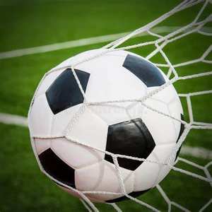 Portería de Fútbol Portátil <span class=keywords><strong>para</strong></span> Niños con Redes de Poliéster Tejido sin Nudos Equipo <span class=keywords><strong>para</strong></span> Cancha - Product Image 2