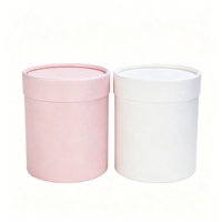 Kemasan Pot Bunga Kardus Desain Modern Ramah Lingkungan Warna-Warni - Ember Bulat Mini untuk Hadiah (Tersedia)