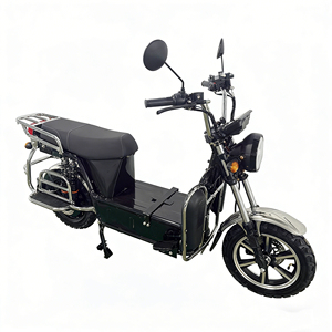 Vélo électrique robuste 60V haute puissance longue portée pour transport de marchandises et trajets quotidiens, avec moteur de moyeu arrière sans balais, usage domestique - Product Image 1