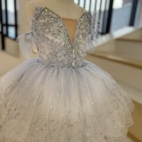 Gaun Tutu Balet Profesional Anak-anak yang Dihiasi, Tutu Pancake Tanpa Lengan dengan Renda Berhiaskan Batu Rhinestone untuk Anak Perempuan, Ideal untuk Pertunjukan.