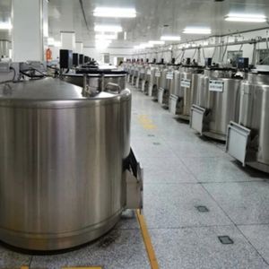 Cilindro LN2 con tapa Bloqueable, tanque de nitrógeno líquido criogénico de 370L para almacenamiento biológico - Product Image 2