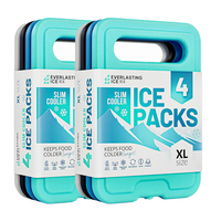 Offre Spéciale : Support Isotherme pour Canette de Bière avec Gel Glacé, Idéal Pique-nique Extérieur, Sans BPA, Non Toxique, Poignée Fraîche, Brique de Glace