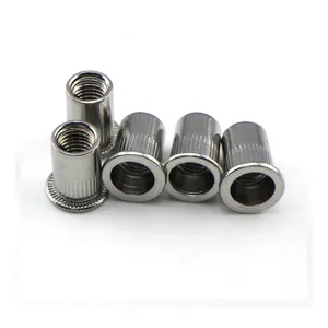 Stainless Steel Flat Head Riveted Nuts Rivet Nut