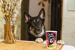 Ingrédients naturels boeuf pois carottes complément alimentaire humide 50g délicatesse savoureuse pour chiens adultes - Product Image 2