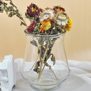 <span class=keywords><strong>Vase</strong></span> hydroponique <span class=keywords><strong>en</strong></span> <span class=keywords><strong>verre</strong></span> maison <span class=keywords><strong>vase</strong></span> à fleurs <span class=keywords><strong>en</strong></span> <span class=keywords><strong>verre</strong></span> moderne, <span class=keywords><strong>vase</strong></span> à <span class=keywords><strong>jacinthe</strong></span> coloré - Product Image 5