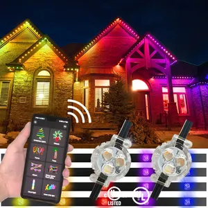 Punto di paesaggio 2904 Pixel luce Led Rgb decorazione per le vacanze all'aperto Dmx512 24V Rgbw Dot Led luce natalizia permanente