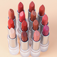 Nouveau Rouge à Lèvres Mat Velours Nude Sexy Longue Tenue Hydratant Maquillage Teinté Beauté Cosmétique