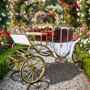 Prix d'usine, vente en gros : Carrosse de princesse électrique sans chevaux, modèle Cendrillon, pour la visite touristique, à vendre - Product Image 1