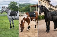 Appareil orthopédique de grande taille pour le dos de cheval 660nm 850nm photothérapie infrarouge rouge LED dispositif de thérapie équine à lumière rouge