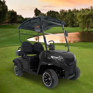 Hersteller Custom Professional Design 2-Sitzer Elektro-Golf wagen PREDATOR G2 48v Golf wagen Lithium batterie