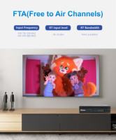 China Factory FTA Channels H.265 T2 Decodificador HEVC Receptor de Digital decodificador