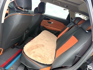 Chine - Concessionnaire de voitures d'<span class=keywords><strong>occasion</strong></span> - Véhicules SUV - Jetour Modèle 2024 Shanhai L7 1.5T 120 km MAX 7 places Transmission <span class=keywords><strong>automatique</strong></span> - Product Image 5