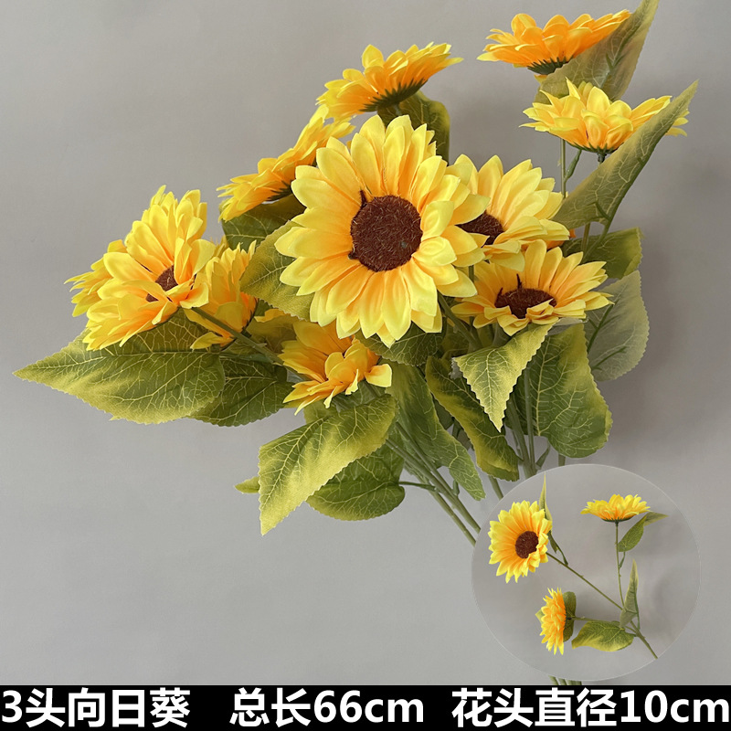 3 tournesols de tête