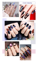 MissGel Fournisseur en gros 9d Magnétique Cat Eye Uv Nails Gel Art Salon Nouveaux produits professionnels pour les ongles