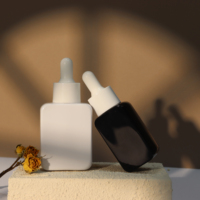 Flacon de sérum blanc rond personnalisé de 10ml 20ml 30ml 50ml 100ml emballage de soins de la peau flacons compte-gouttes personnalisés d'huile essentielle pour Cosmet