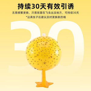 Pièges à insectes collants jaunes pour l'intérieur, non toxiques, en plastique, pour mouches des fruits, moustiques, usage domestique et cuisine - Product Image 3