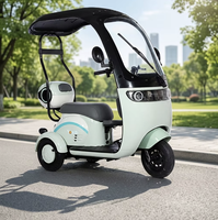 Tricycle électrique pour adultes, moteur sans balais, cadre en acier haute teneur en carbone, batterie 60V 1500Wh, 3 roues, freins à disque, 60 km d'autonomie
