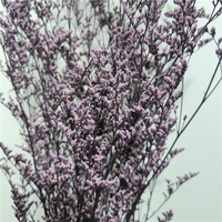 LUYI-Gedroogde Natuurlijke Bloemen Groothandel Caspia Misty Limonium Gedroogde Limonium Bloemen Gras Gedroogde Bloemen