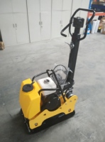 Compacteur à plaques réversible RWBH31B, fréquence vibratoire 75 Hz, amplitude nominale 0,5 mm, pour voies étroites