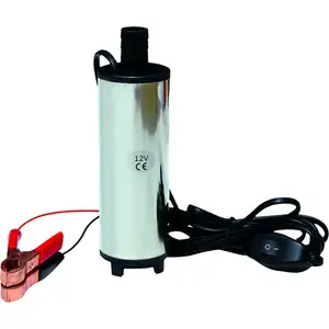 Pompa प्रति olio डीजल acqua gasolio हस्तांतरण pompa sommersa ऑटो कारवां 12V/24V-Acciaio आईनॉक्स