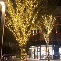 Diwali 300 meter panjang 3000 LED bertenaga Cahaya peri bercahaya LED dekoratif petasan Natal Cluster cahaya