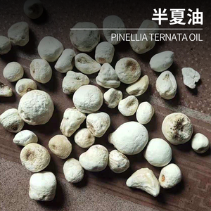 有機ピネリアテルナタオイル100% 純粋天然ピネリアテルナタエッセンシャルオイルアロマセラピースキンケア - Product Image 5