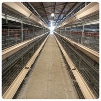 Vente en gros de cages à oiseaux automatiques à étages, modèle MT, nouveau modèle, garantie 1 an, acier galvanisé à chaud, usine du Shandong
