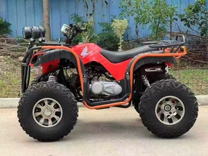 Quad à transmission automatique à chaîne 250cc 2WD à vitesse maximale supérieure LNA pour adultes - Product Image 4