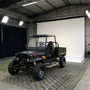 Vehículo Todoterreno Híbrido Personalizado de 350cc para Granja, con Gran Caja de Carga, Amortiguador, Vehículo de Reparto para Montaña, con Certificación CE - Product Image 1