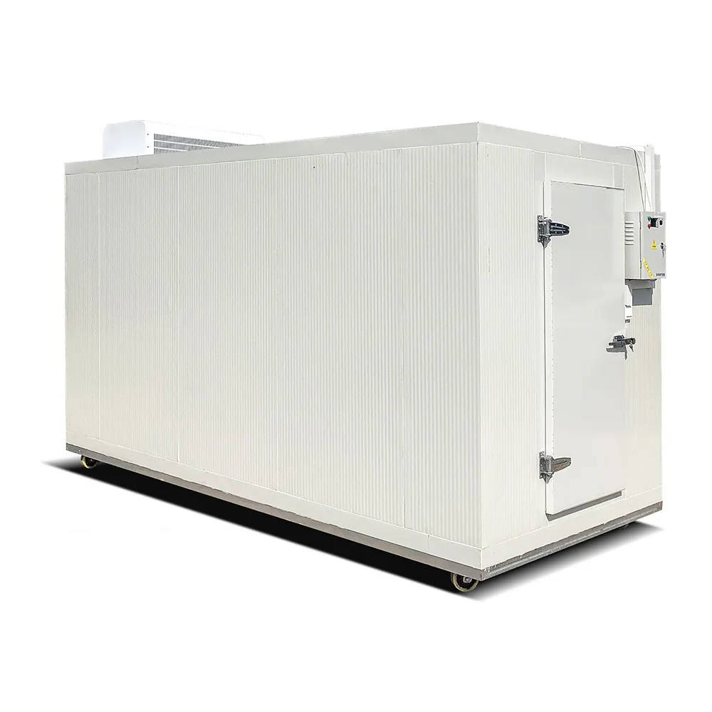 20ft 40ft Cold Storage Container Personalizar Container Restaurante Fornecido Energy Saving Freezing Chamber Fusheng Air Compressor