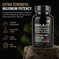 Offre Spéciale : Capsules Végétales 8-en-1 de Shilajit aux Herbes avec Ginseng Panax et Rhodiola pour l'Énergie Quotidienne des Hommes – Complément Alimentaire OEM & ODM