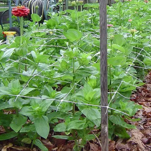 Filet de treillis de jardin en PP extrudé pour plantes potagères, idéal pour les concombres - Meilleur prix - Product Image 1